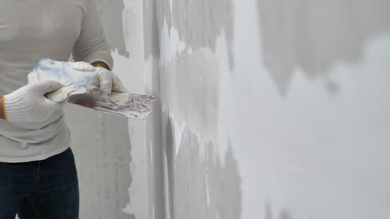 Best Drywall Texturing  in Onawa, IA